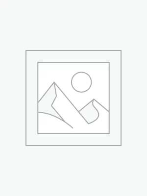 Organic Qimen Black Tea - First Blossom in the Clouds